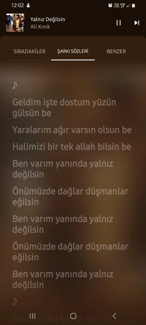Screenshot_20240214_120228_ReVanced Extended Music.webp