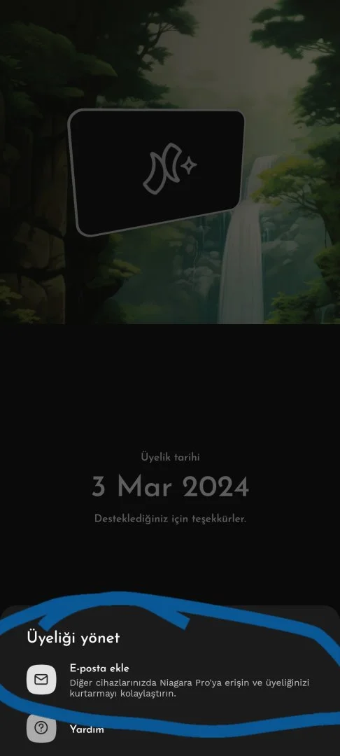 Screenshot_20240303-103027_Niagara Launcher.webp