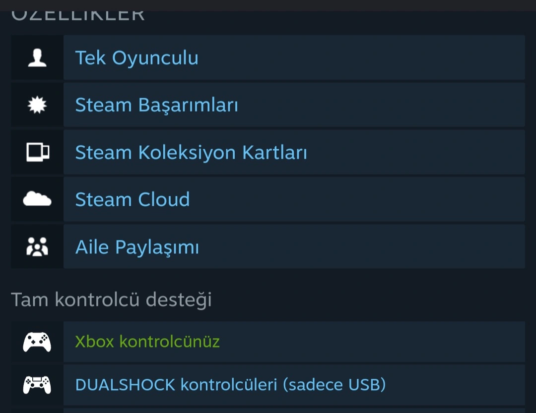 Screenshot_20240317_164450_Steam.webp