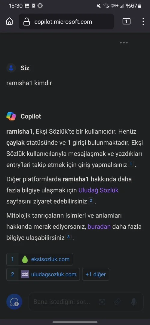 Screenshot_20240405_153011_Firefox.webp
