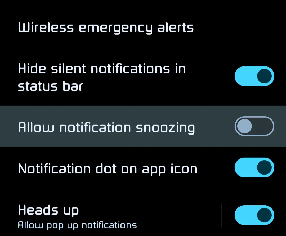 Screenshot_20240509-195444_Settings.webp