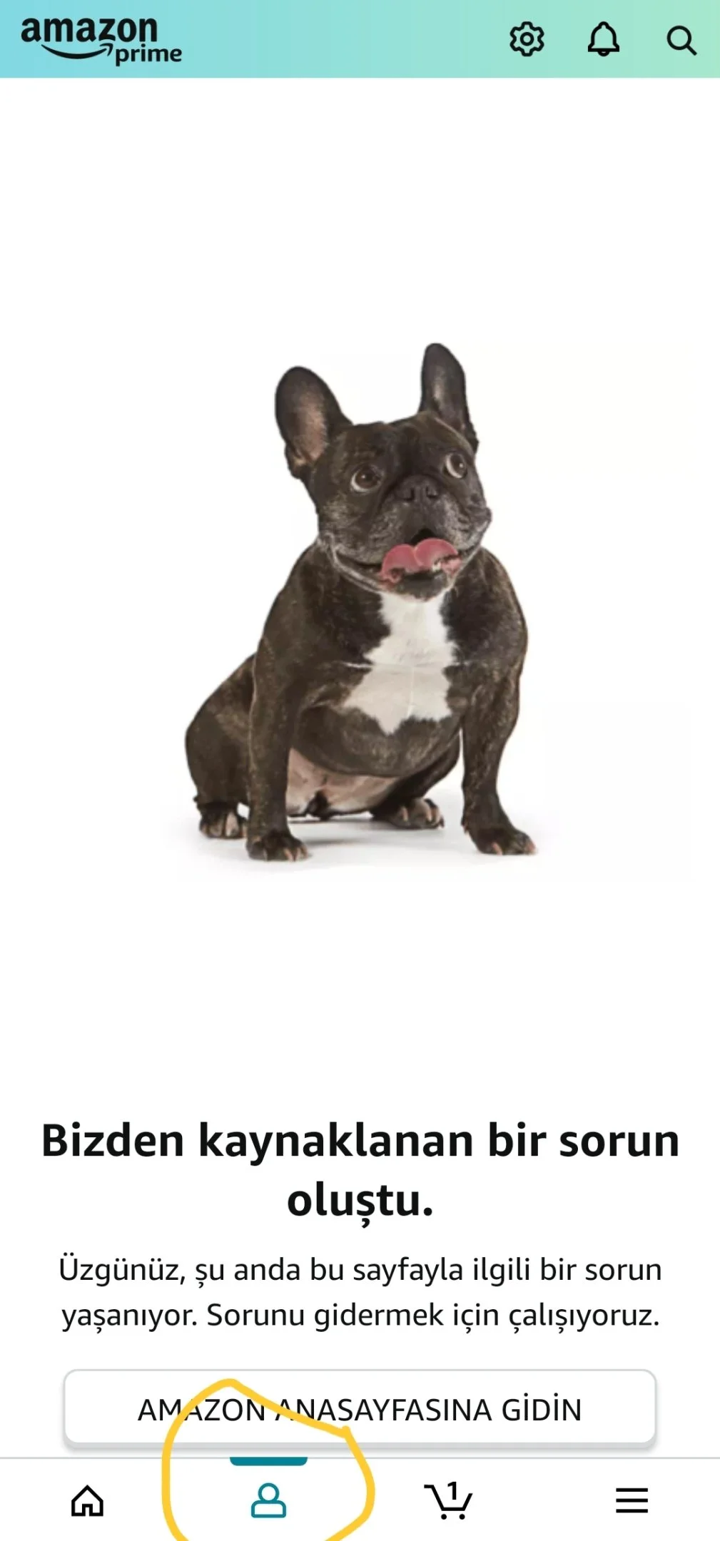 Screenshot_20240820_140816_Amazon Shopping.webp
