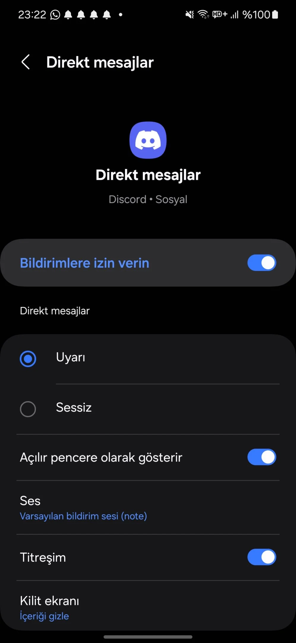 Screenshot_20240824_232223_Settings.webp