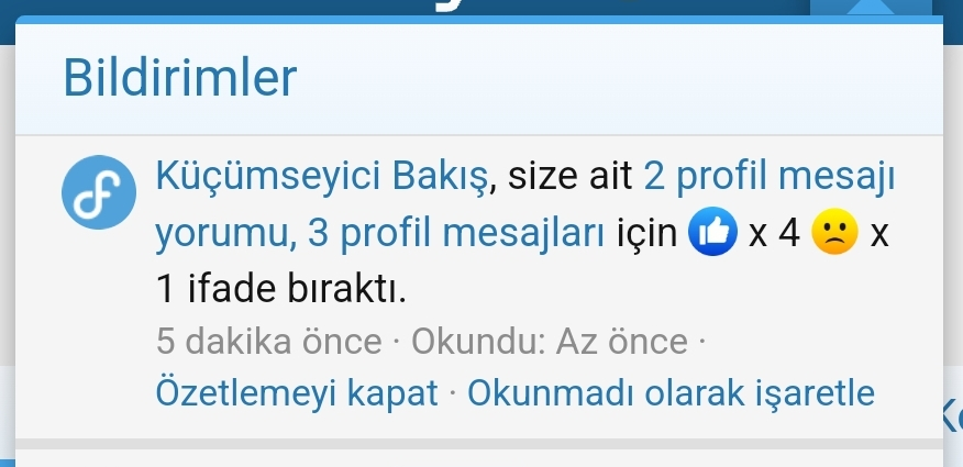 Screenshot_20240826_130635_Samsung Internet.webp