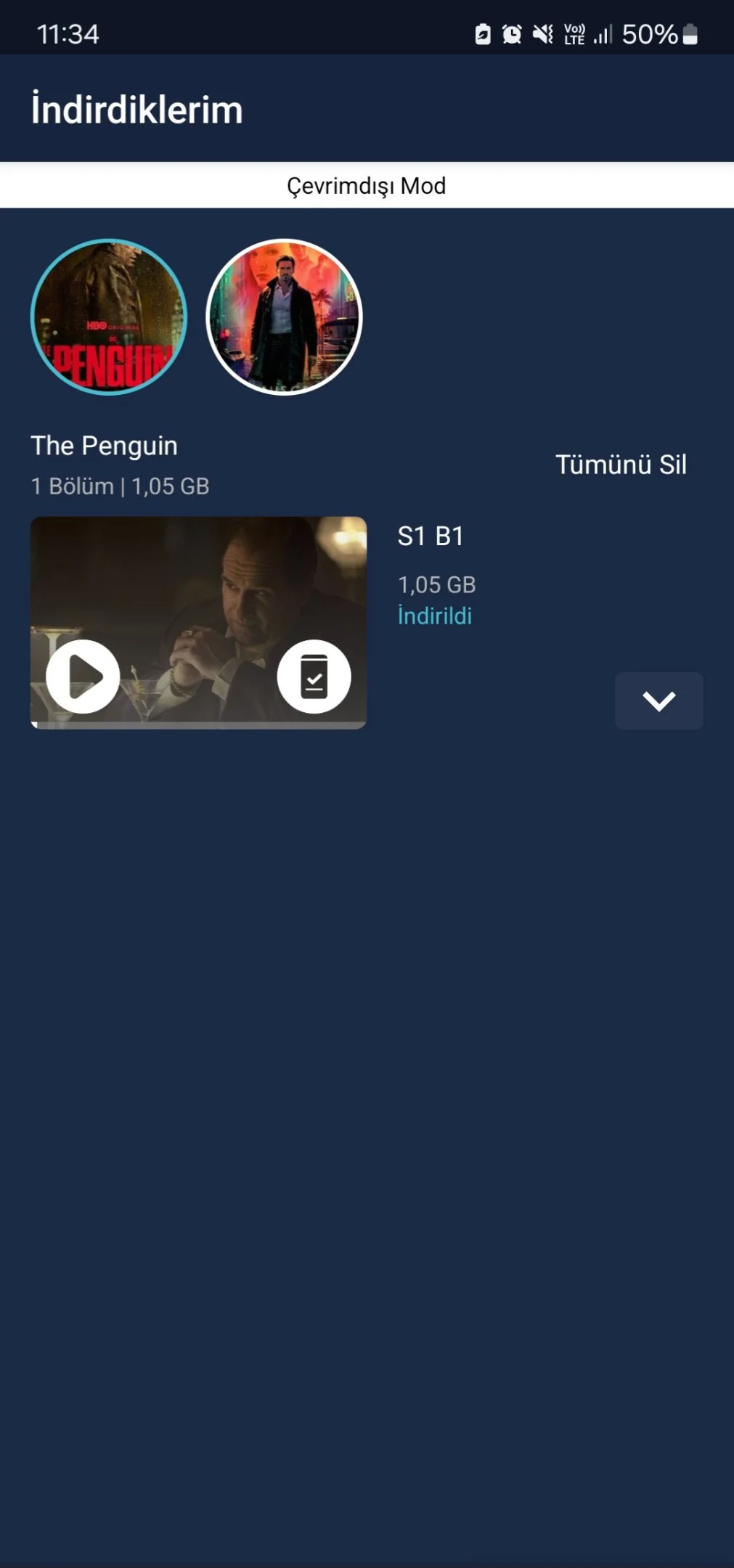 Screenshot_20241009_113403_BluTV.webp