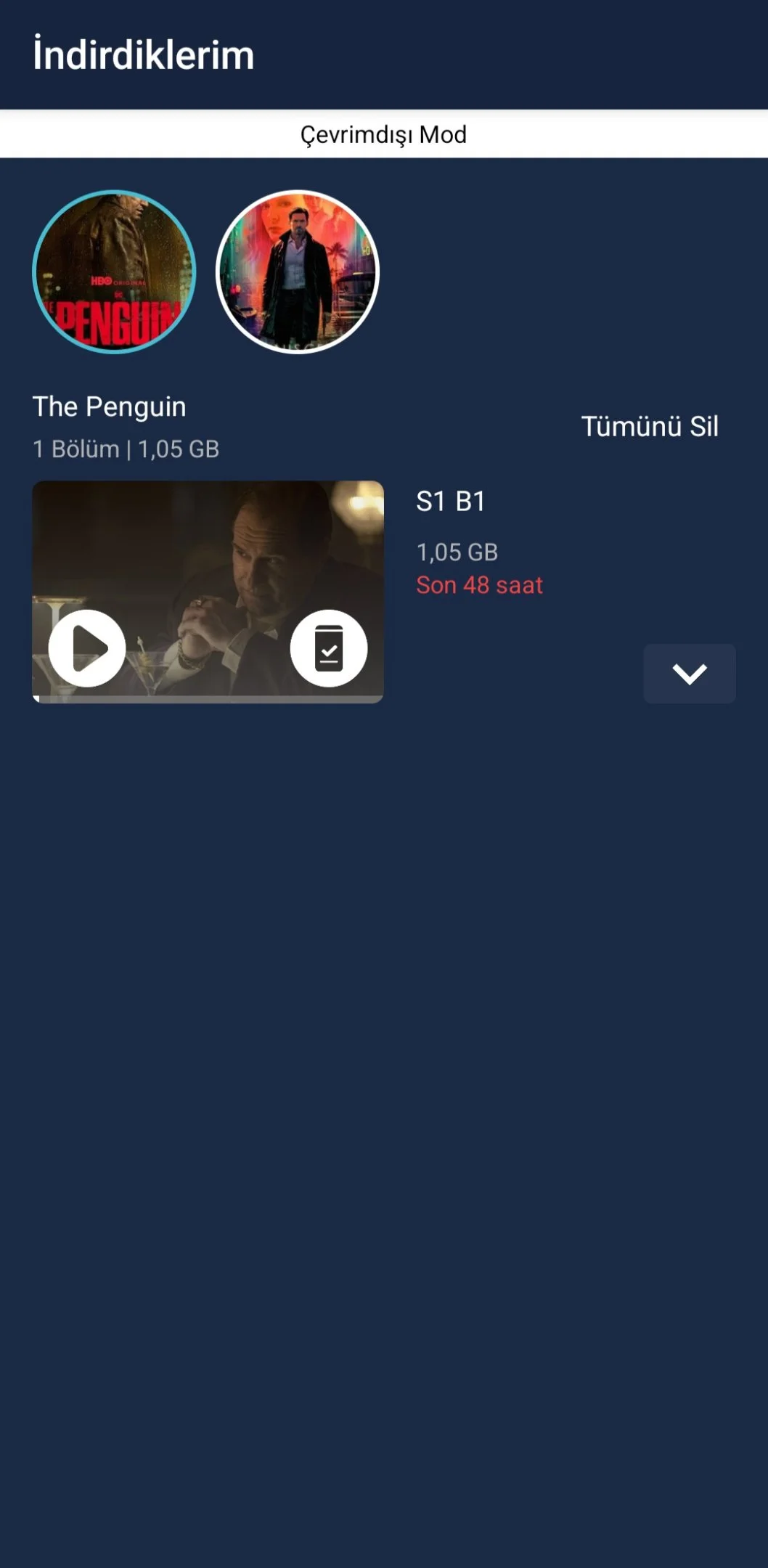 Screenshot_20241009_113417_BluTV.webp