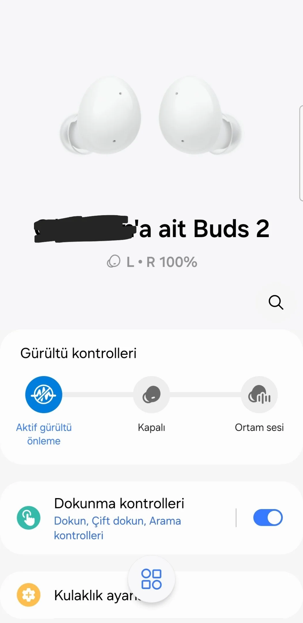 Screenshot_20241103_215623_Galaxy Buds2 Manager.webp