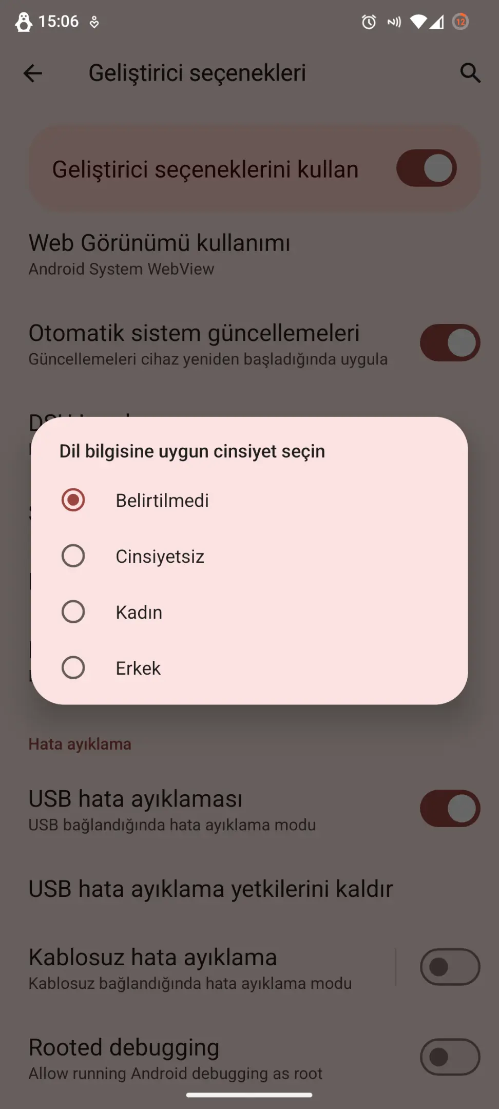 Screenshot_20241104-150700_Ayarlar.webp