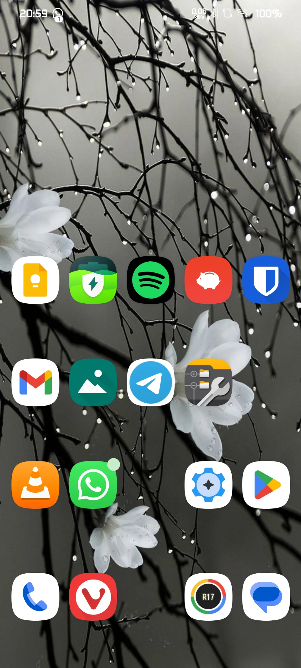 Screenshot_20241225-205955_crDroid Home.webp