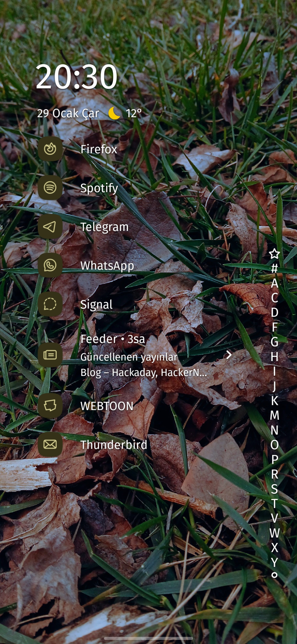 Screenshot_20250129_203046_Niagara Launcher.webp
