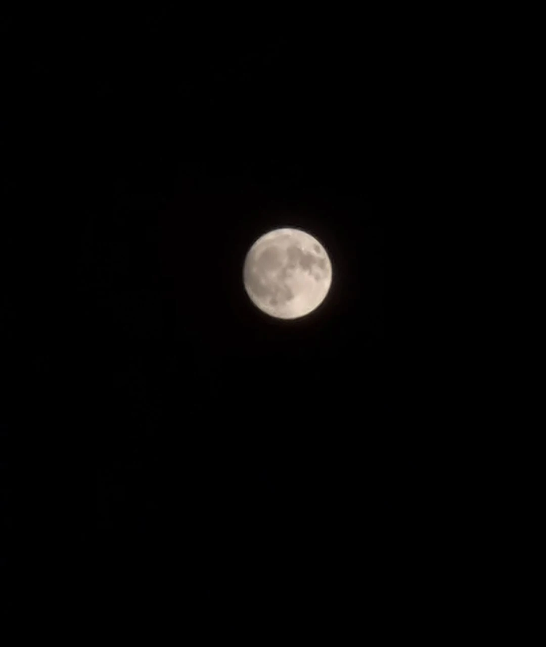 Screenshot_20250224_221907_Photos.webp