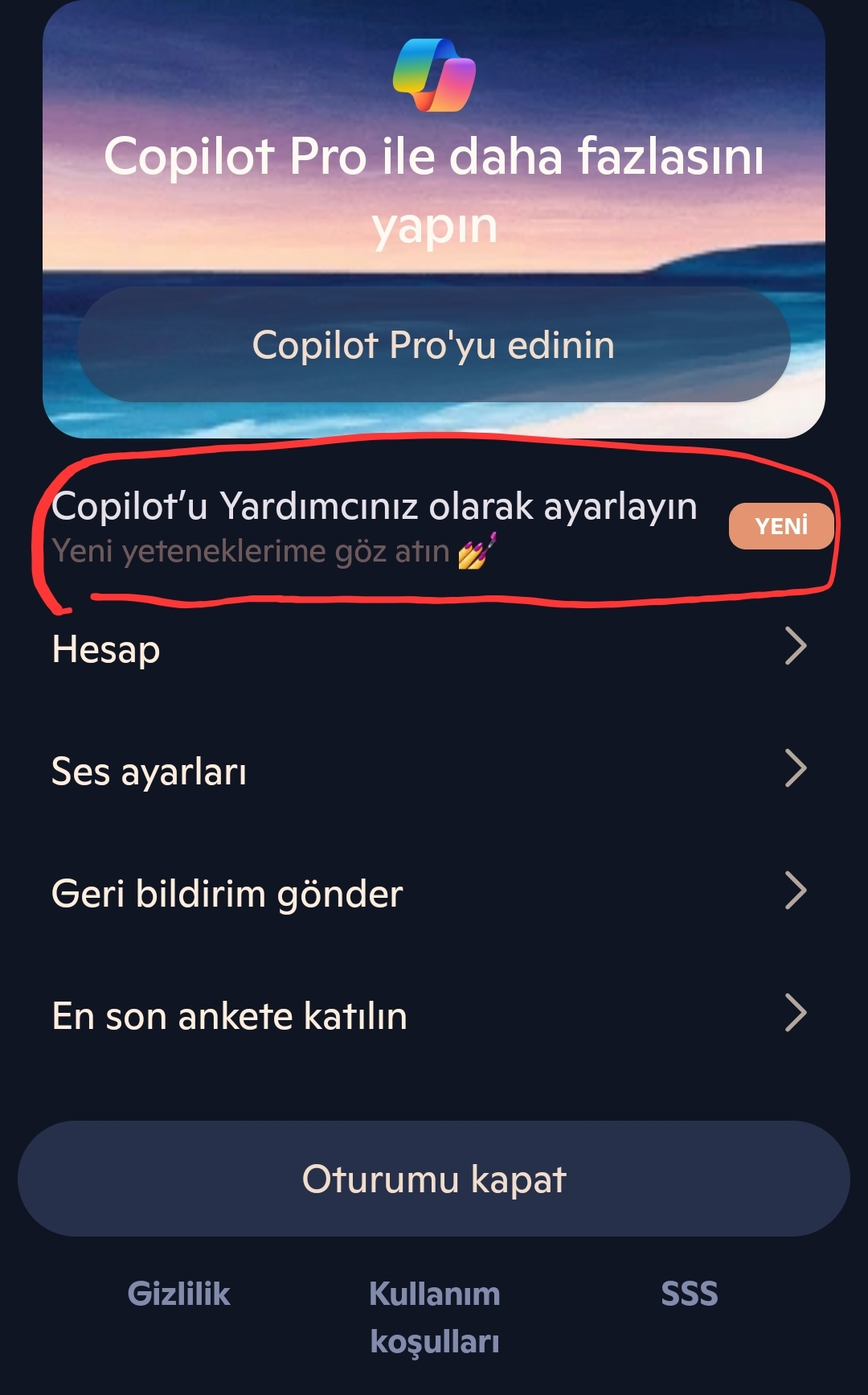 Screenshot_20250409_210026_Copilot.webp