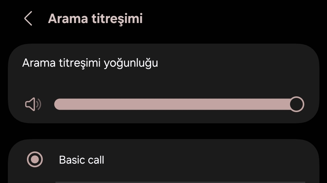 Screenshot_20250424_194229_Settings.webp