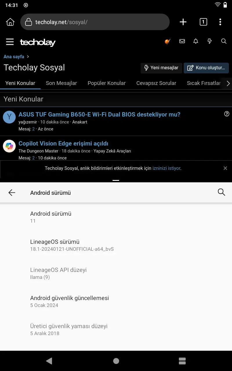 Screenshot_20250707-143113_Kiwi_Browser.webp