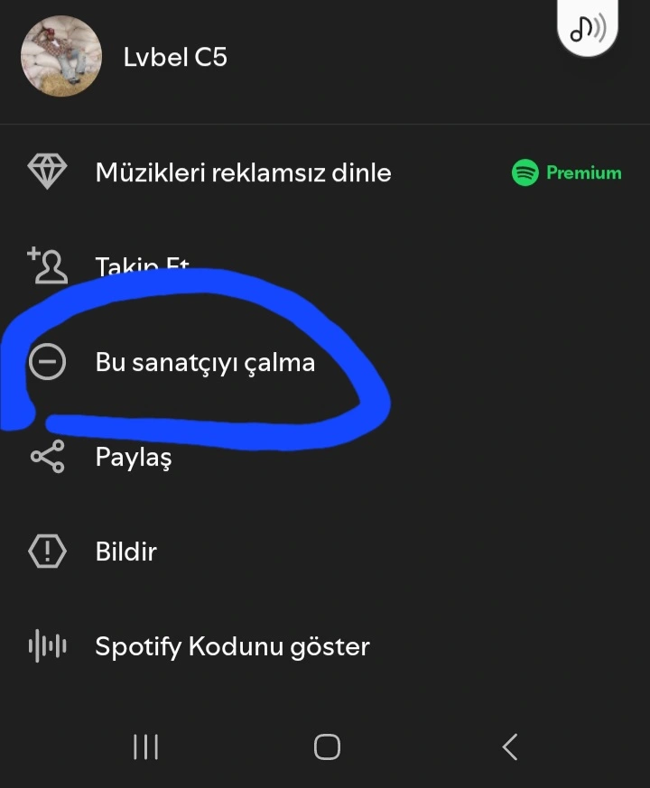 Screenshot_20250712_122236_Spotify.webp