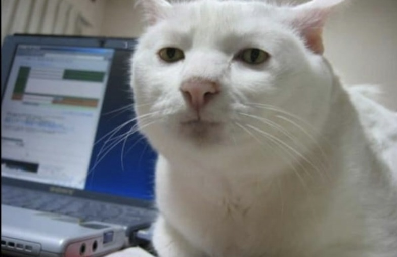 Screenshot_20250908_001152_Chrome.webp
