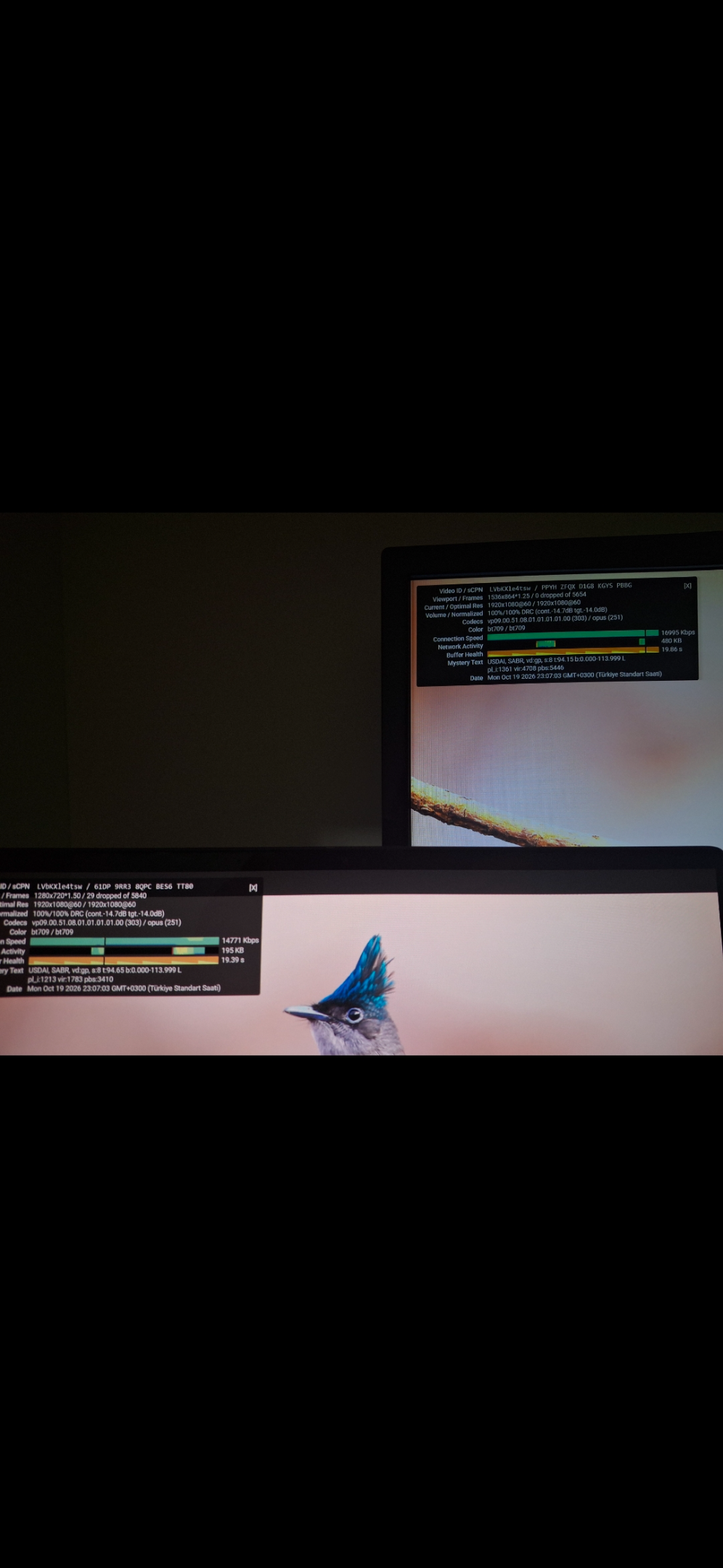 Screenshot_20261019_231124_Gallery.webp
