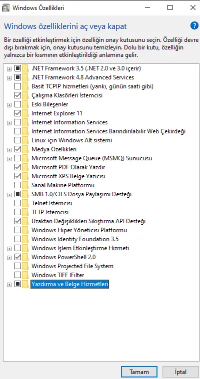 sdf.webp