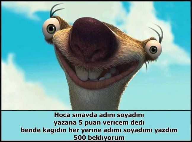 sinav_kagidi.webp