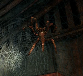 SmallSpider.webp
