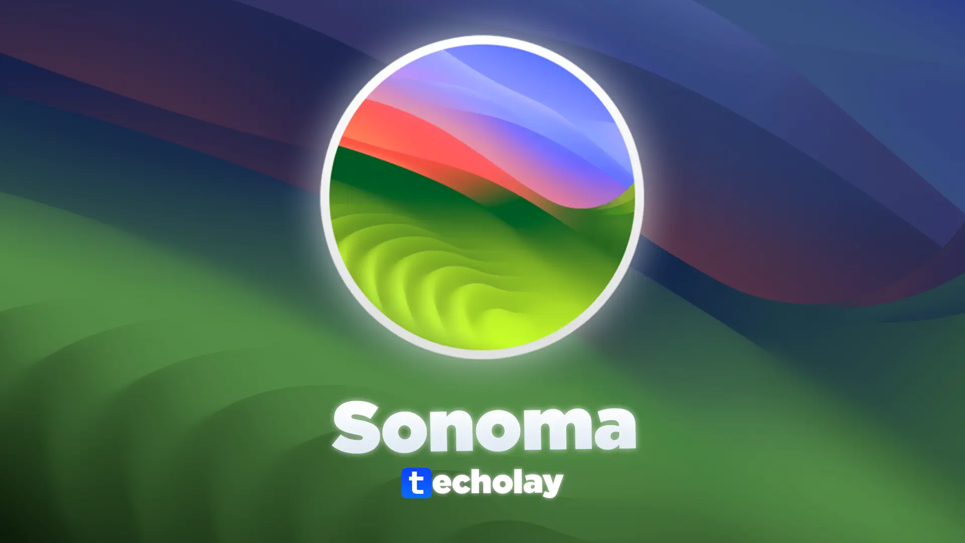 Sonoma techolay.webp