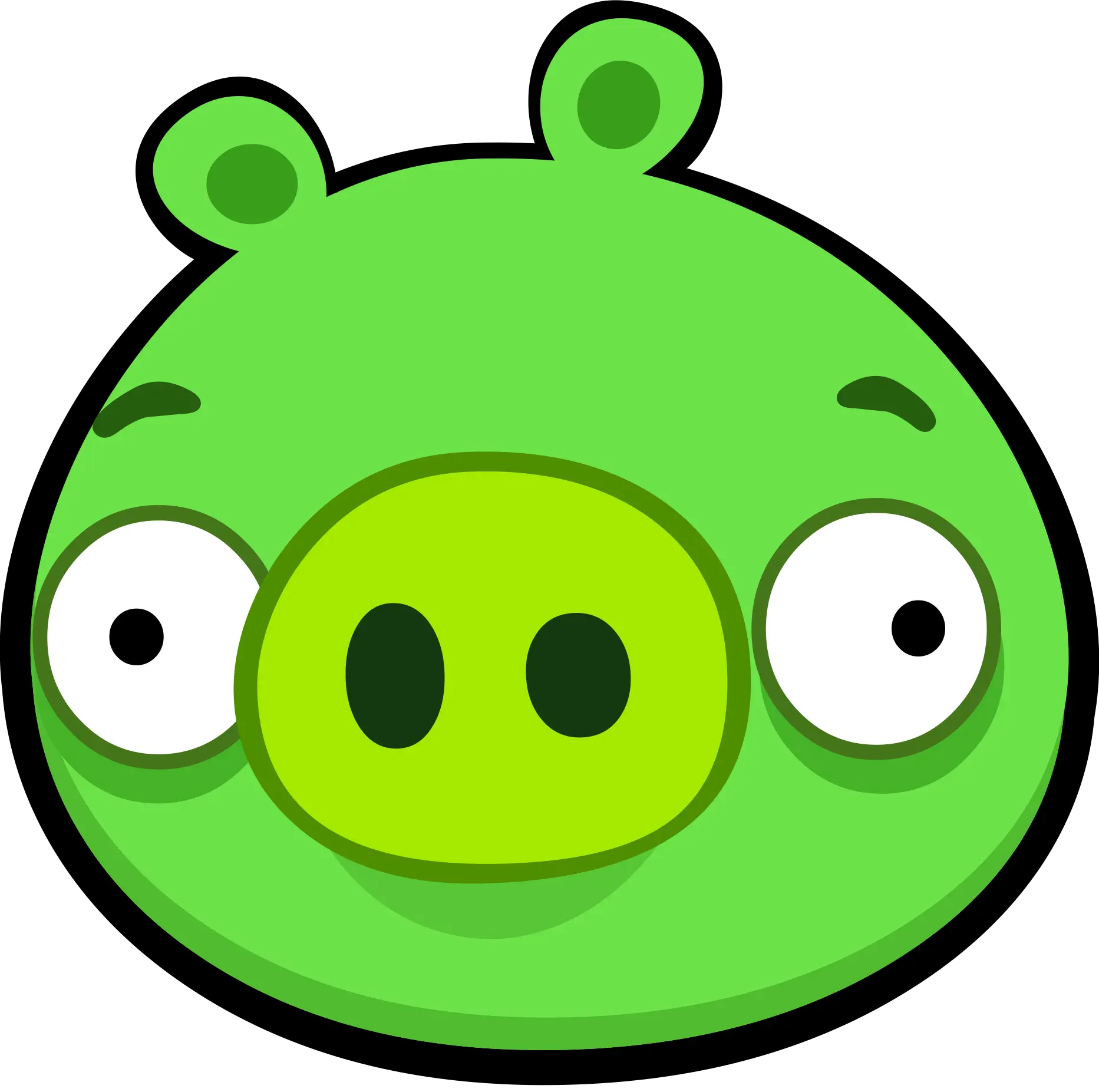 Sp.webp