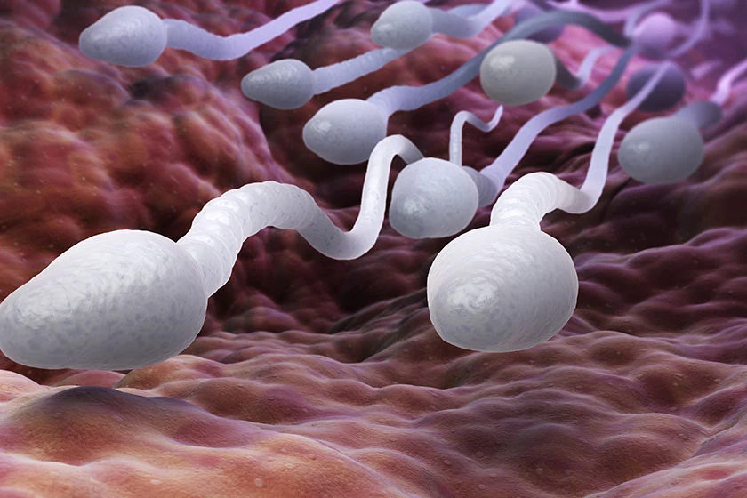 sperm-sagliginizi-korumak-icin-bu-maddeleri-gozden-gecirin_20180529134935.webp