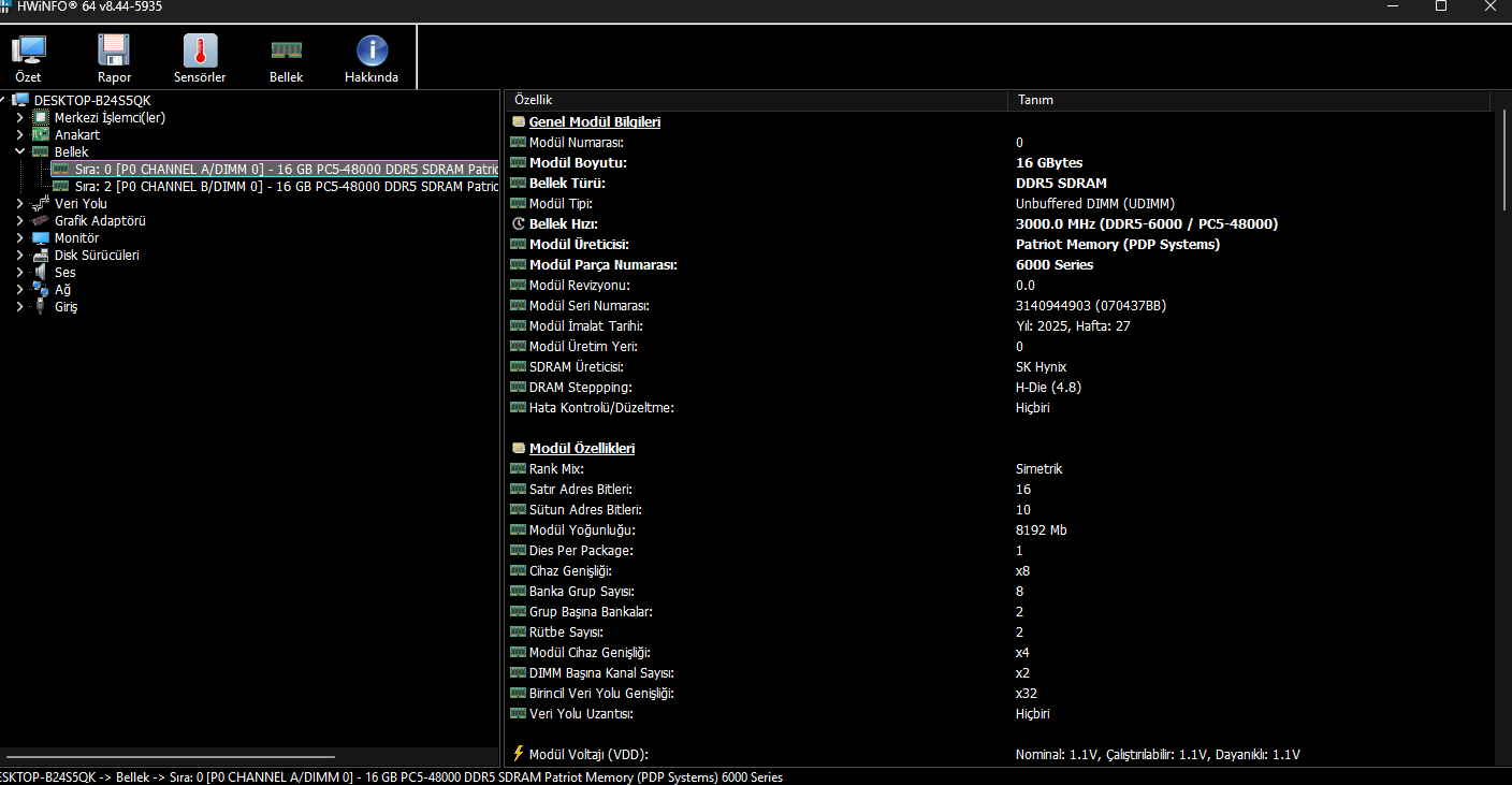 ss2.webp