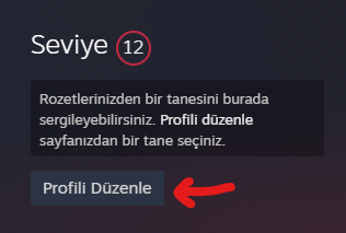 Steam profil gizlilik ayarları 1.webp
