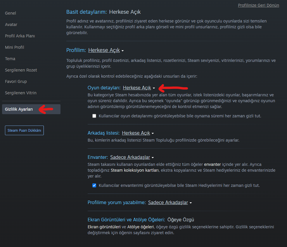 Steam profil gizlilik ayarları 2.webp