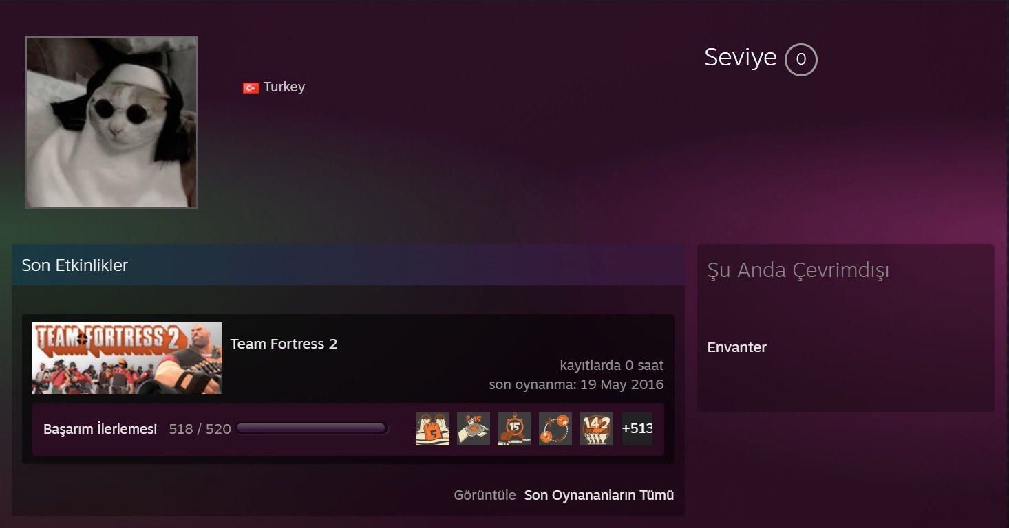 steam1.webp