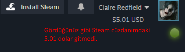 steam'de cüzdan parası harcamadan oyun alma rehberi 8.webp
