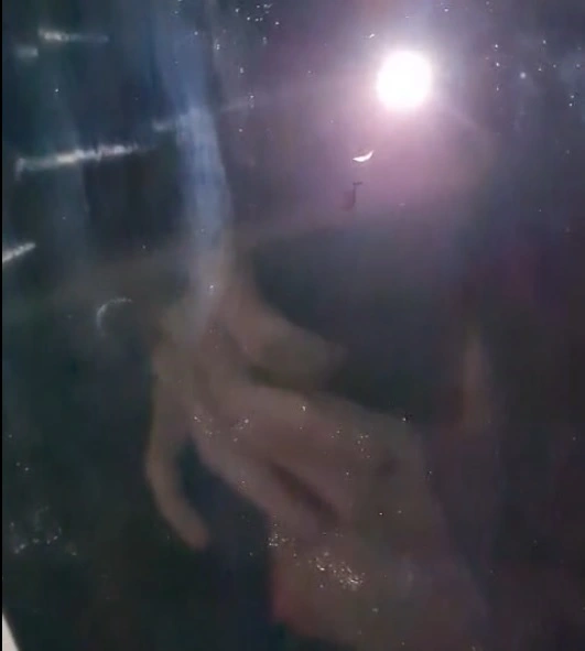 sunroof-2.webp