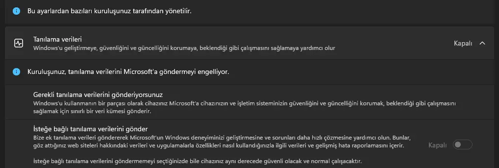 Tanılama Verileri Kapalı.webp