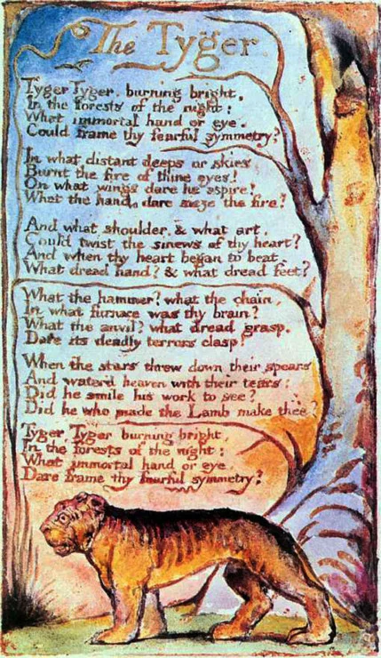 The-Tyger-William-Blake-illustration.webp