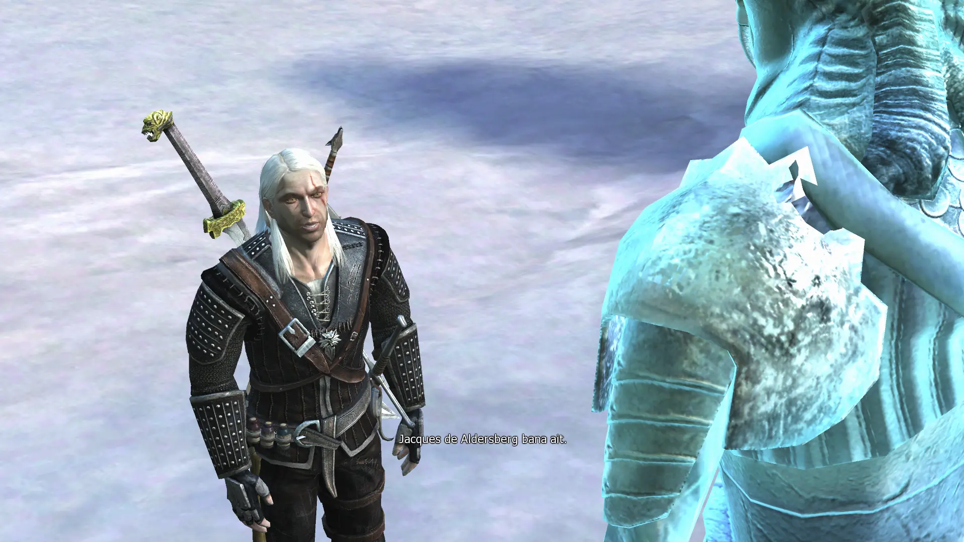 The Witcher Screenshot 2024.11.25 - 04.55.37.55.webp