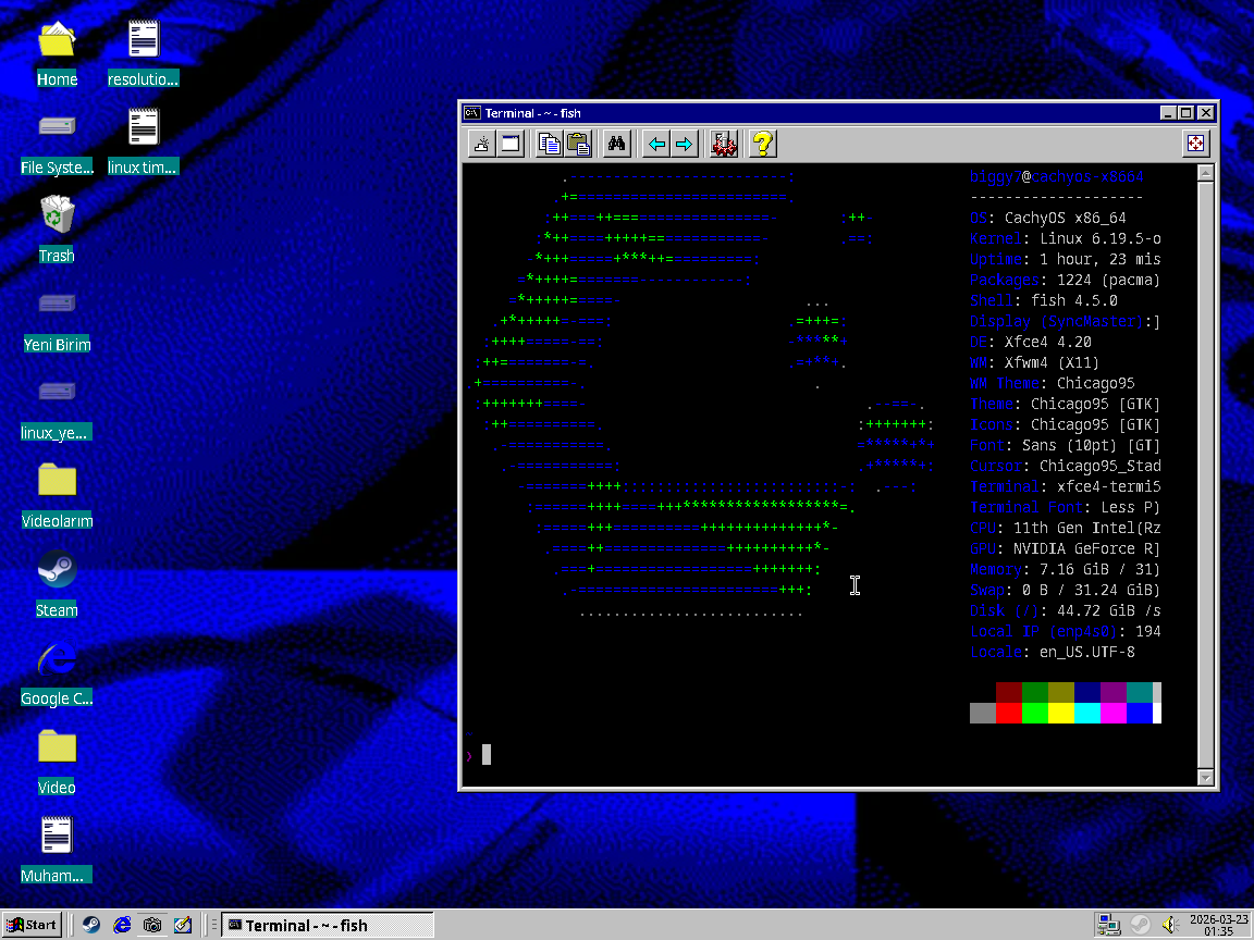 theme95.webp