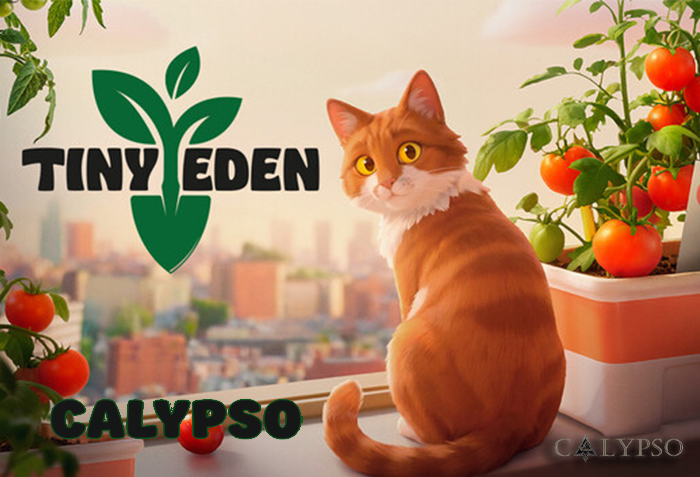 Tiny Eden Calypso Yatay.webp