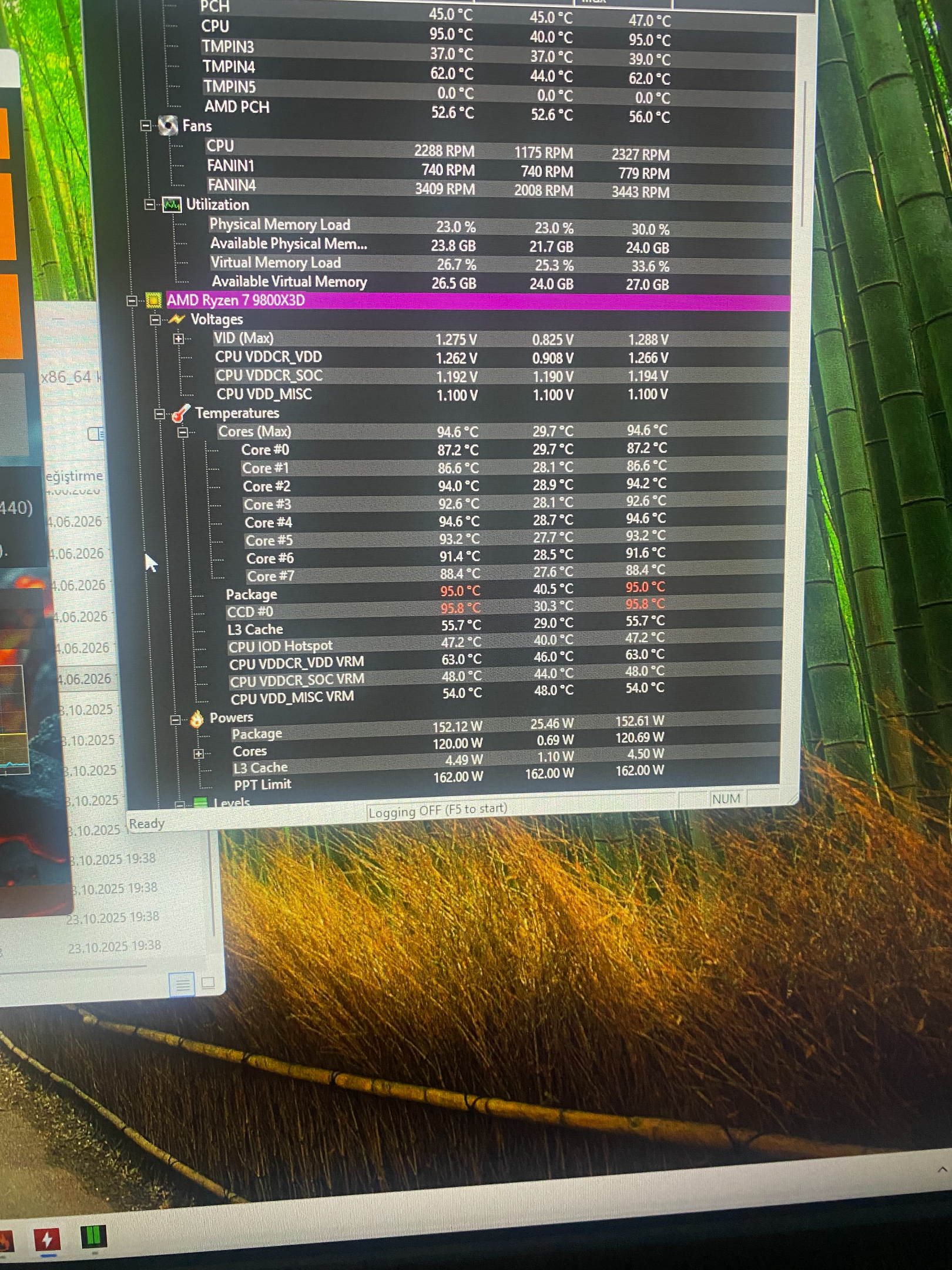 tmdlosvo.webp
