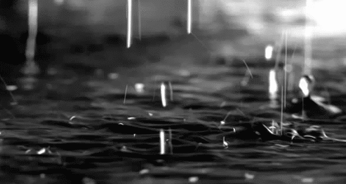 tumblr_mrdk8oamPU1sbw4j0o1_500.gif