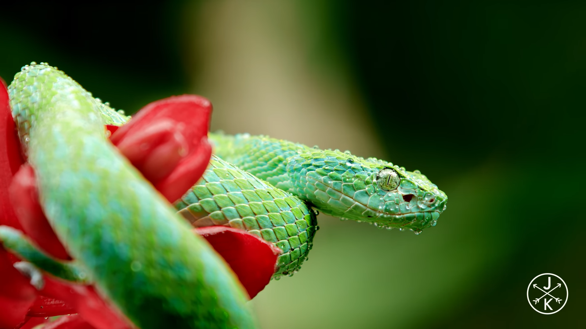 unknown_2025.05.17-13.48.webp