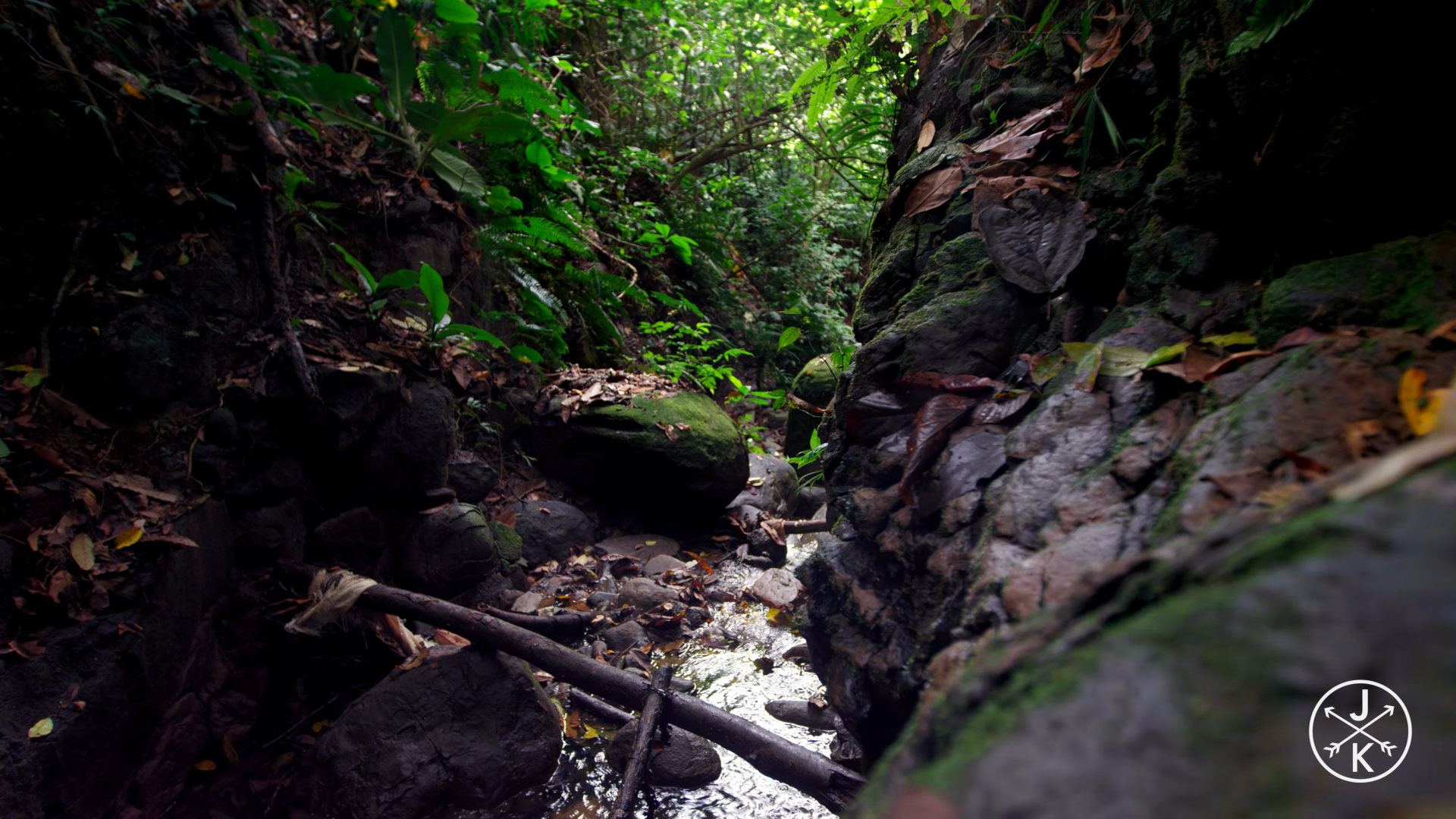unknown_2025.05.17-13.53.webp
