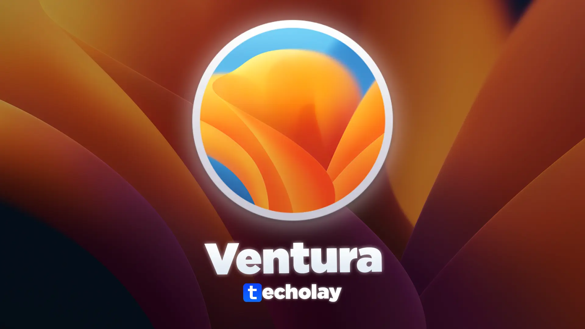 Ventura techolay.webp
