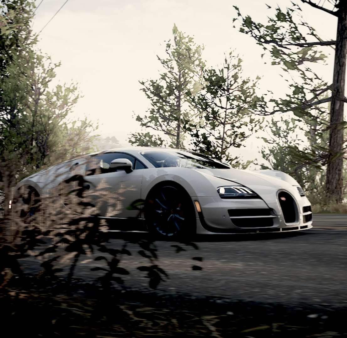 veyron.webp