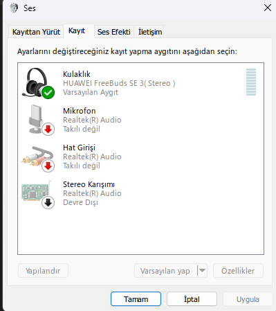 win11_ses_2.webp
