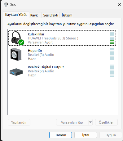 win11_ses_3.webp