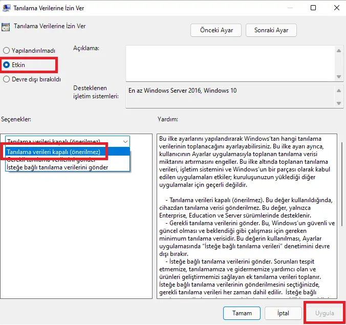 Windows 11 Tanılama Verileri.webp
