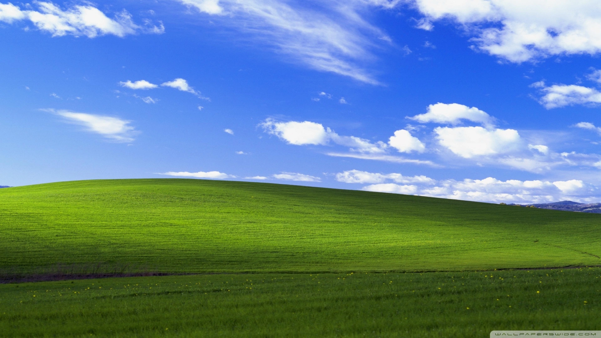 windows_xp_original-wallpaper-1920x1080 (1).webp