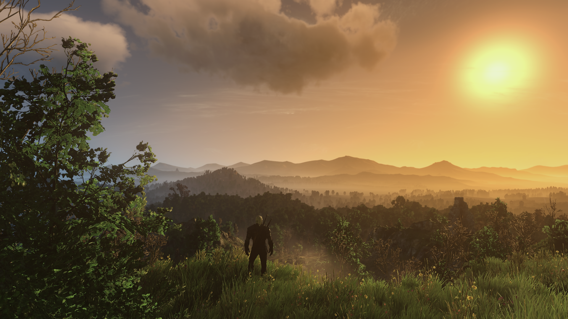 Witcher 3 - Landscape.webp