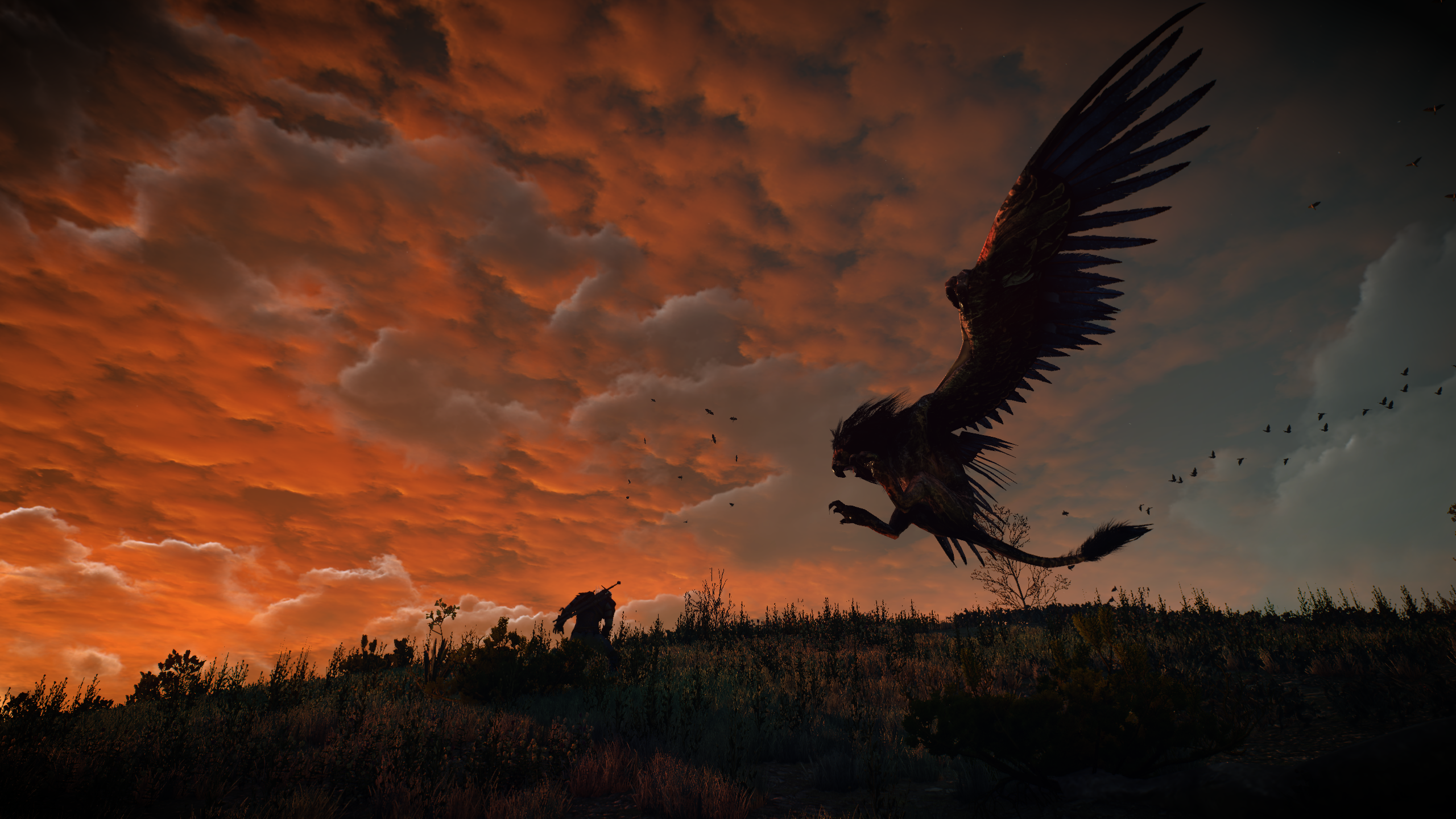 Witcher 3.webp
